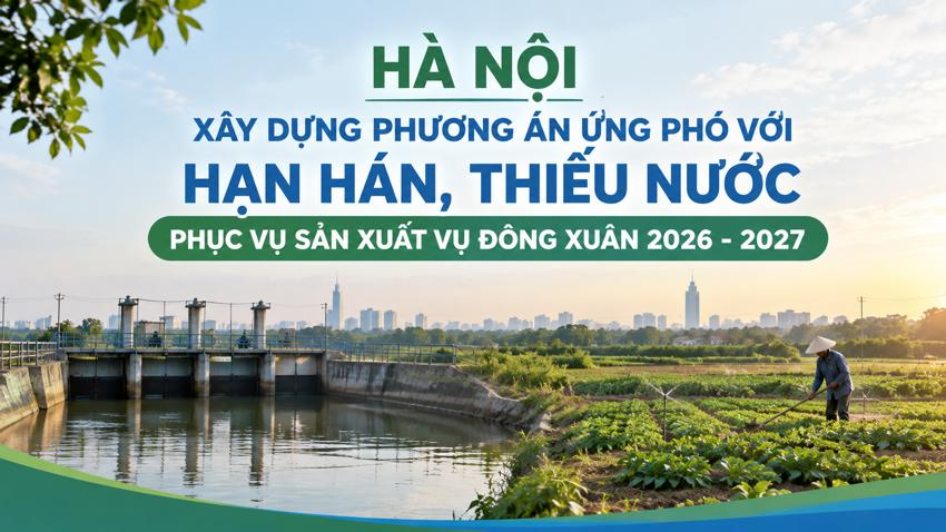 Hà Nội xây dựng phương án ứng phó với hạn hán, thiếu nước phục vụ sản xuất vụ đông xuân 2026 - 2027