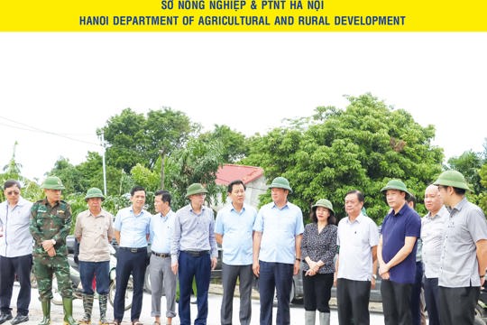 Bản tin Nông nghiệp & Nông thôn Hà Nội số 03 năm 2024