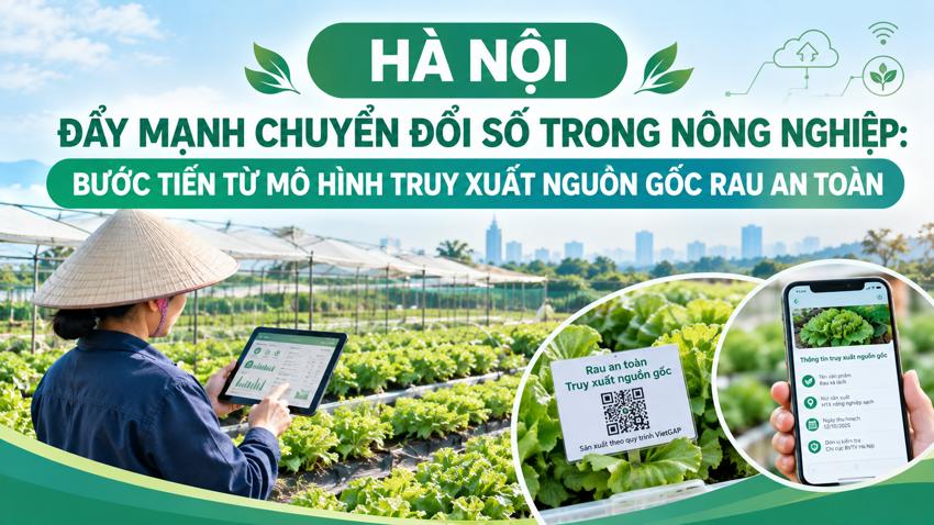 Hà Nội đẩy mạnh chuyển đổi số trong nông nghiệp: bước tiến từ mô hình truy xuất nguồn gốc rau an toàn