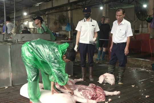 Hà Nội chấm dứt giết mổ nhỏ lẻ, phát huy hiệu quả mô hình tập trung