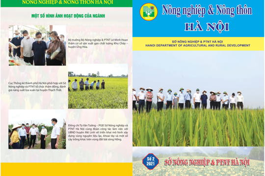 Tập san nông nghiệp & nông thôn Hà Nội số 02 năm 2021