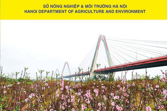 Bản tin Nông nghiệp & Nông thôn Hà Nội số 04 năm 2025