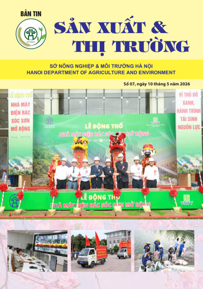 Bản tin Sản xuất & Thị trường số 07 năm 2026