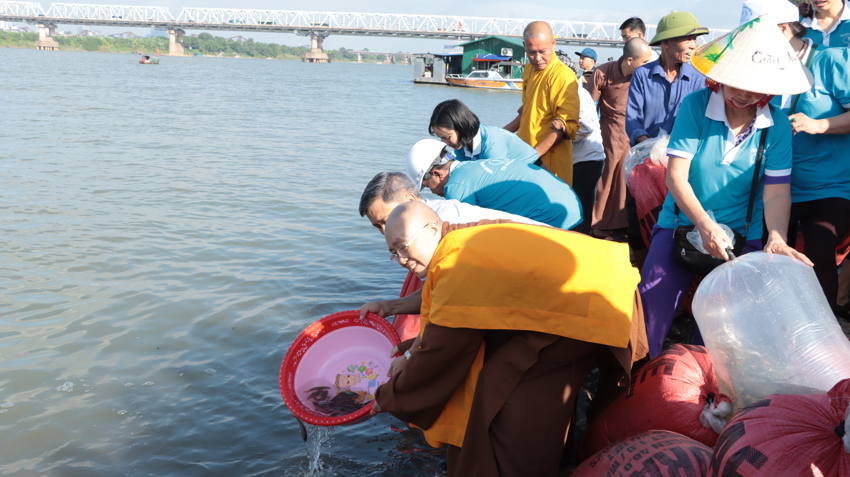 Hà Nội: thả cá phóng sinh, tái tạo nguồn lợi thủy sản