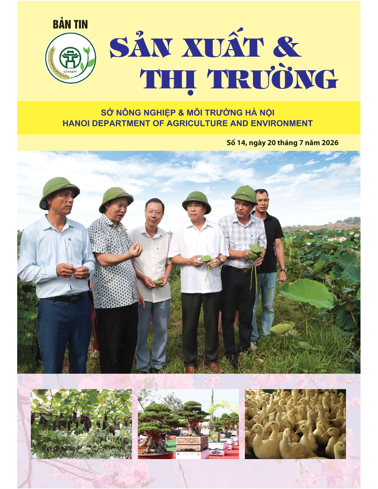 Bản tin Sản xuất & Thị trường số 14 năm 2026