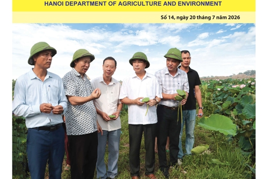Bản tin Sản xuất & Thị trường số 14 năm 2026