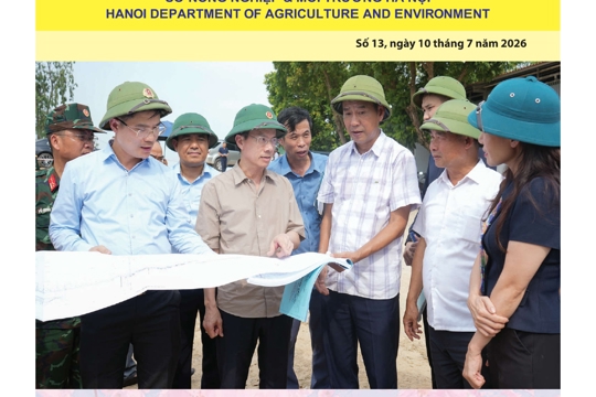 Bản tin Sản xuất & Thị trường số 13 năm 2026