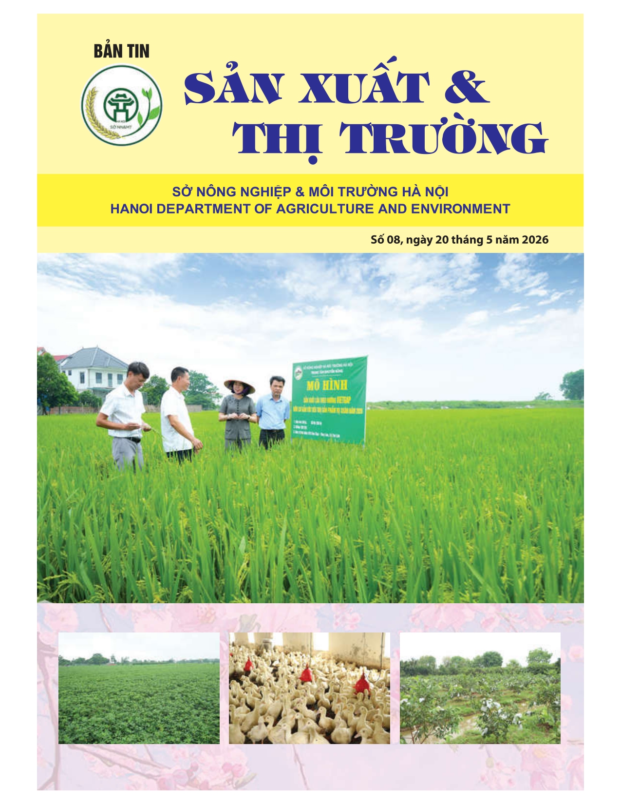 Bản tin Sản xuất & Thị trường số 08 năm 2026