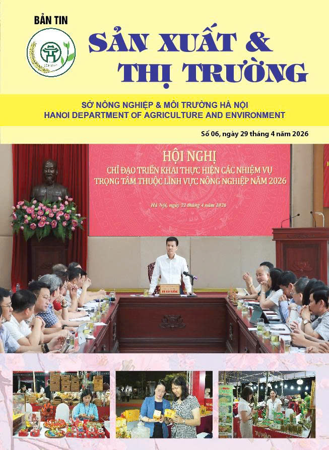 Bản tin Sản xuất & Thị trường số 06 năm 2026