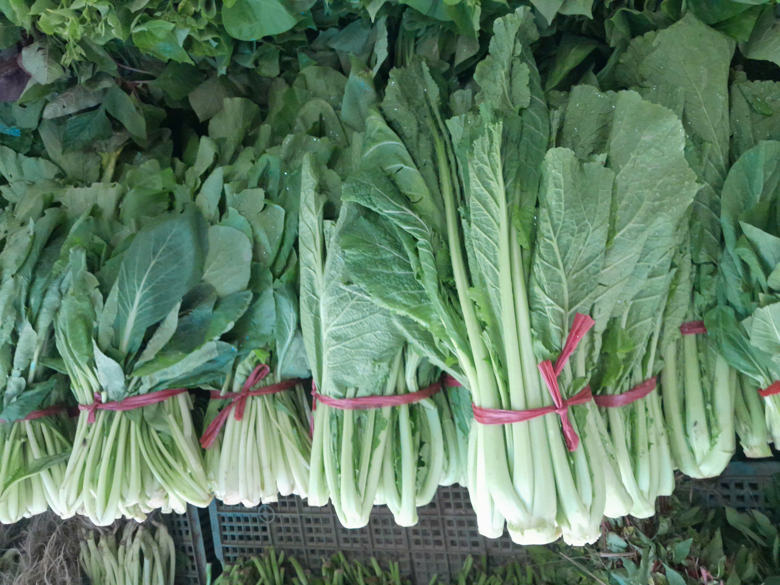 Đánh giá thị trường số 16