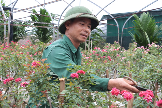 Xã Mê Linh tập trung nâng cao chất lượng và giá trị nông sản