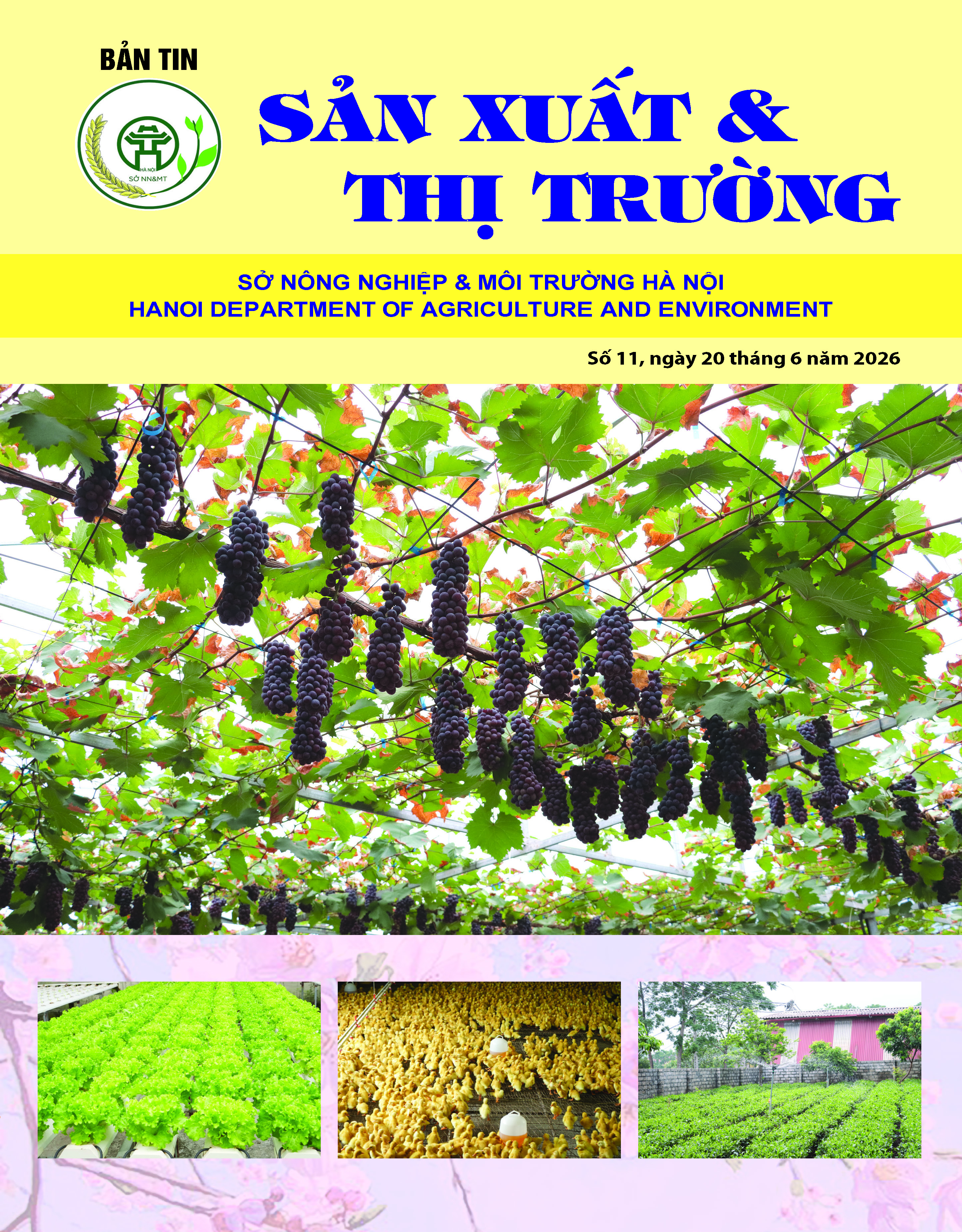 Bản tin Sản xuất & Thị trường số 11 năm 2026