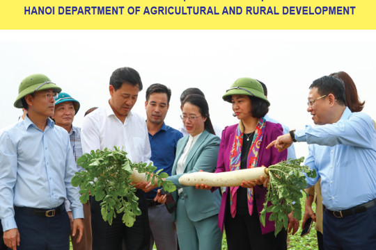 Bản tin Nông nghiệp & Nông thôn Hà Nội số 01.2024