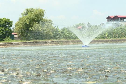 Hà Nội tập trung triển khai các giải pháp thúc đẩy sản xuất nông nghiệp những tháng cuối năm
