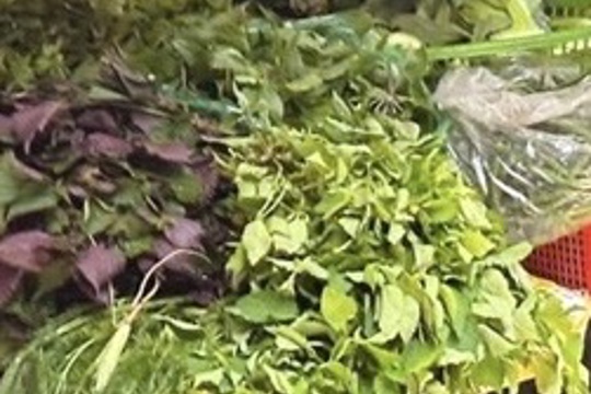 Giá cả các mặt hàng nông sản vật tư nông sản thuộc xã Quốc Oai 24.9