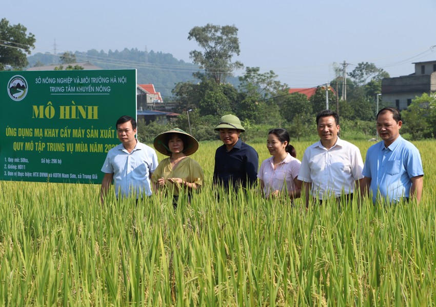 XÃ TRUNG GIÃ ĐẨY MẠNH PHÁT TRIỂN NÔNG NGHIỆP THEO HƯỚNG HIỆN ĐẠI, BỀN VỮNG