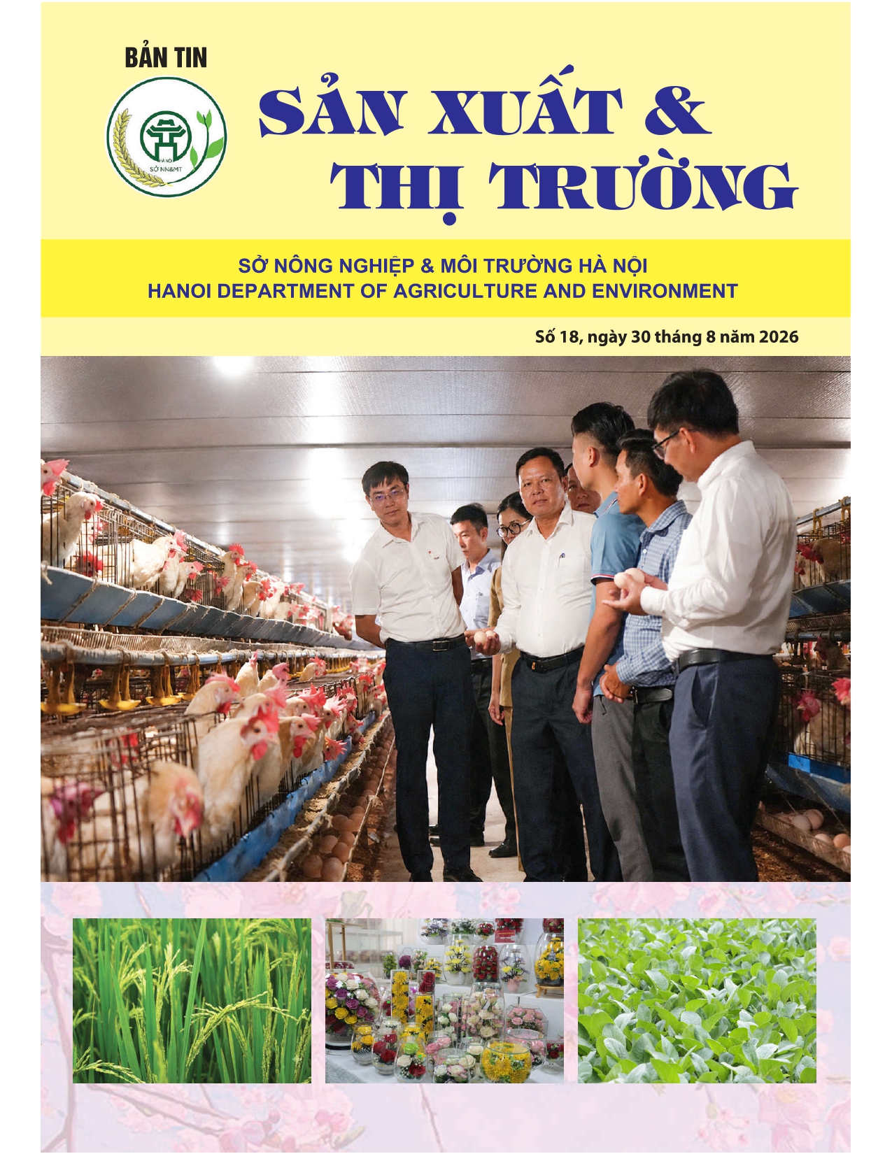 Bản tin Sản xuất & Thị trường số 18 năm 2026