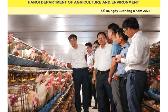 Bản tin Sản xuất & Thị trường số 18 năm 2026