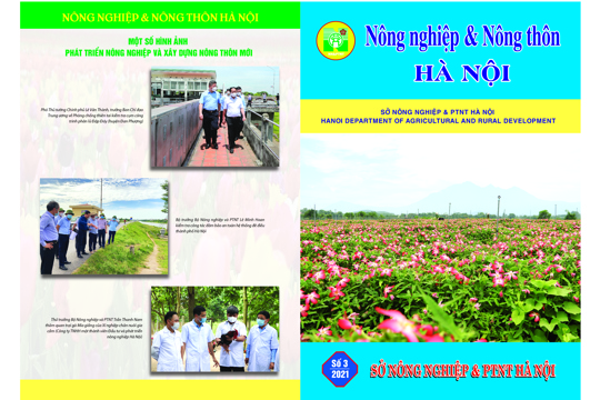 Tập san nông nghiệp & nông thôn Hà Nội số 03 năm 2021