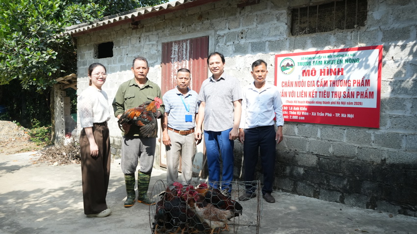 Nghiệm thu mô hình chăn nuôi gia cầm thương phẩm gắn với liên kết tiêu thụ sản phẩm trên địa bàn xã Trần Phú
