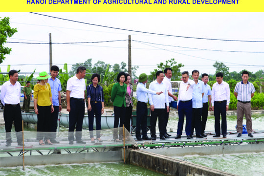Tập san nông nghiệp & nông thôn Hà Nội số 03 năm 2022