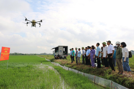 Kiều Phú trình diễn bón phân bằng thiết bị bay không người lái (drone) vào sản xuất lúa vụ mùa năm 2026