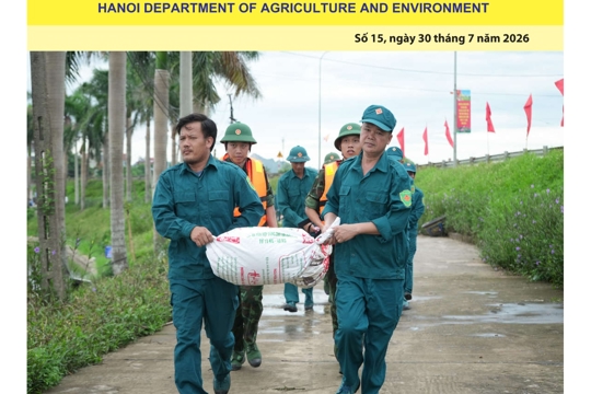 Bản tin Sản xuất & Thị trường số 15 năm 2026