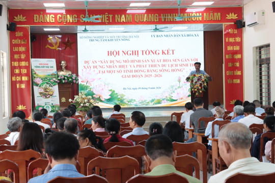 Nâng cao giá trị kinh tế từ cây sen