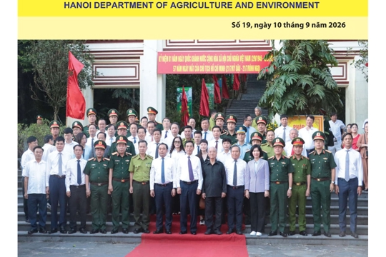 Bản tin Sản xuất & Thị trường số 19 năm 2026