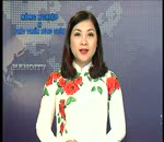 Hướng dẫn kỹ thuật bao bọc quả bưởi
