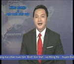 Đánh giá thị trường 14.7