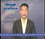 Đánh giá thị trường 11.8