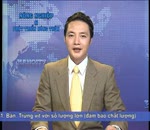Đánh giá thị trường 1.9