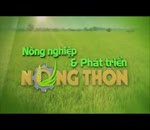 Kết quả vồng chung kết Hội thi bò thịt Hà Nội 2016