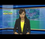 Những lợi ích trồng ngô biến đổi gen