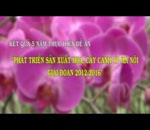 Kết quả 5 năm thực hiện đề án phát triển hoa cây cảnh thành phố Hà Nội