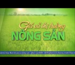 Đánh giá thị trường 16.2