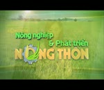 Bón phân Văn Điển cho lúa xuân ở xã Đình Xuyên