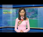 Tin tăng cường công tác dạy nghề nông thôn mới trong năm 2017