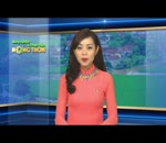 Nguyên nhân, triệu chứng và phòng cún gia cầm