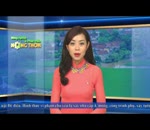 Tin kiểm tra tiến độ thực hiện mô hình Khuyến nông trồng trọt vụ xuân 2017