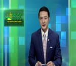 Trung tâm Phát triển Lâm nghiệp Hà Nội bảo tồn và phát triển vốn rừng