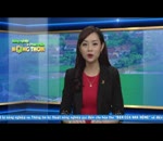 Tin tập huấn chăn nuôi bò sữa tại Ba Vì