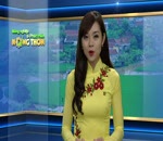 Hà Nội chủ động phòng chống cúm gia cầm