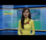 Phòng trừ sâu bệnh trên bưởi sau đậu quả