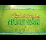 Đánh giá thị trường 11.5