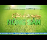 Đánh giá thị trường 27.4