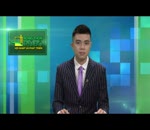 Tin Trung tâm tổ chức lớp KN tập huấn chăm sóc bưởi diễn