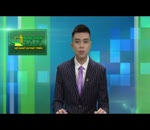 Tin Trung tâm KN giao cá giống cho mô hình chăn nuôi thủy sản Quốc Oai
