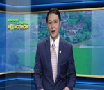 Chống nóng cho gia cầm
